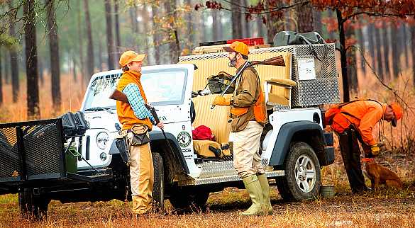 Our expert quail hunting guides