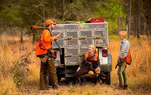 Quail hunting guides and hunters on Jeep.