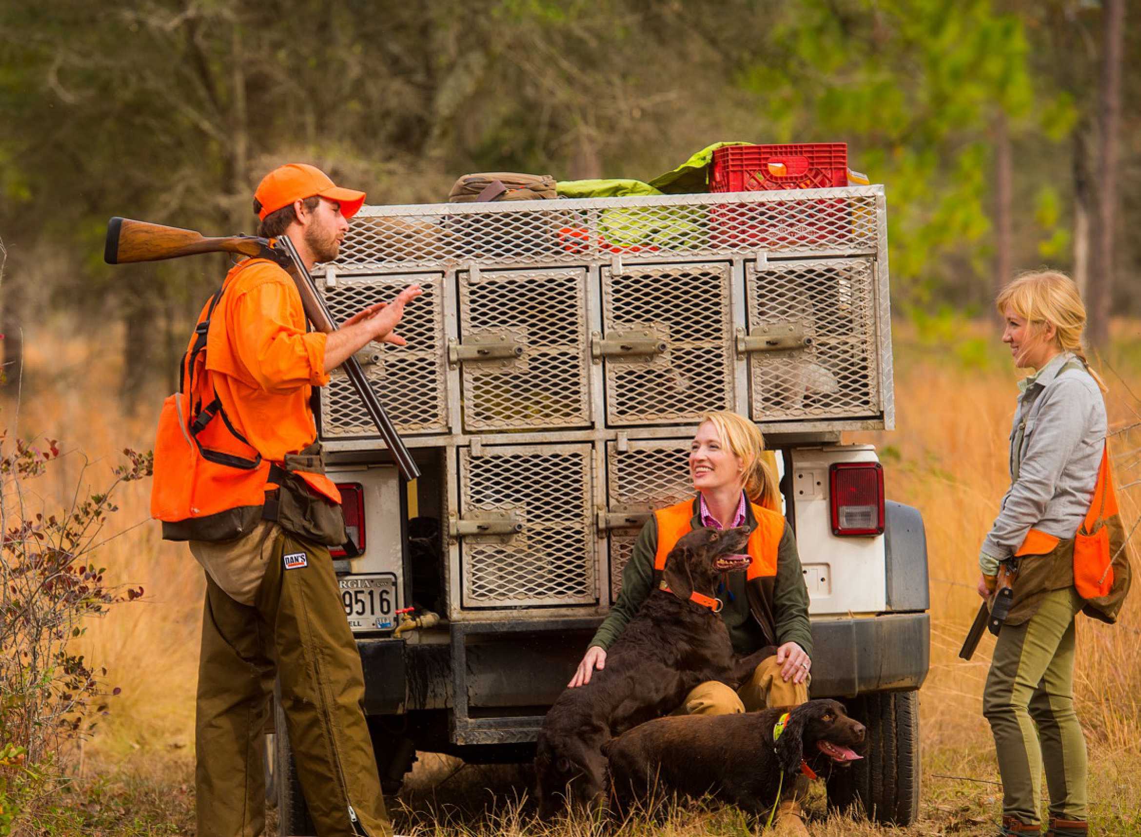 quail hunting trips