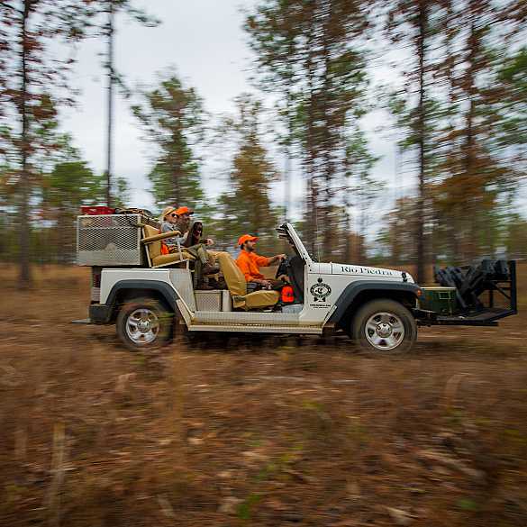 Georgia Quail Hunting Guides on Jeep